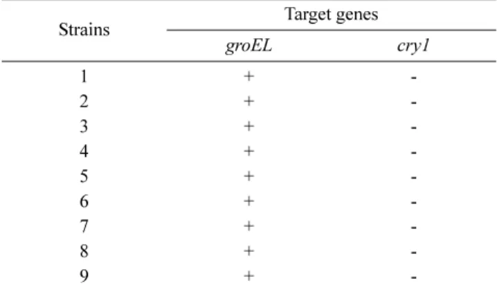 Fig. 2. B. cereus isolated from ready-to-cook food.
