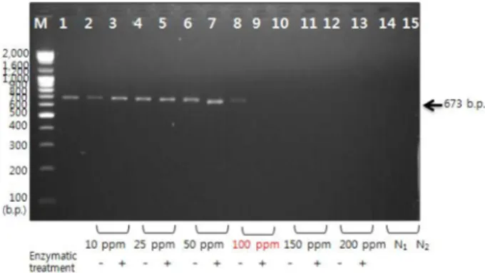 Table 3. Quantitative analysis of sodium hypochlorite-inactivated FCV Concentration of