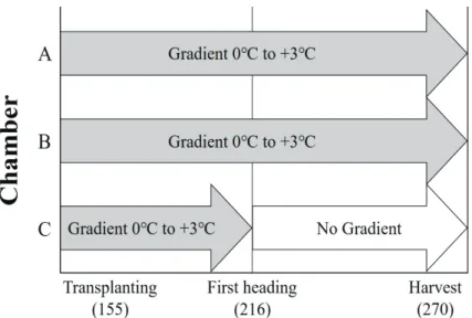 Fig. 1.   A schematic illustration of Temperature Gradient Field Chamber(TGFC) for exposing  rice to the gradient warmed condition by  0℃ to 3℃.