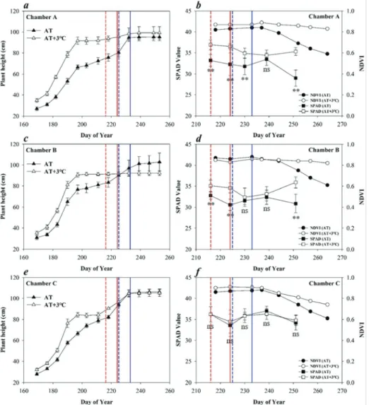 Fig. 3. Change in rice height (cm), SPAD value and Normalized Difference Vegetation Index(NDVI) under  different temperature conditions