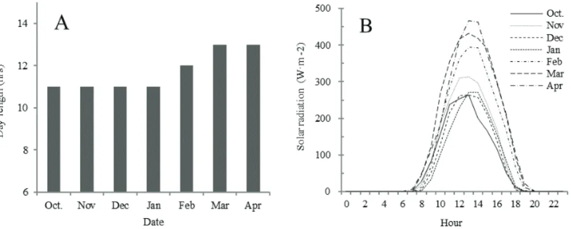 Fig. 3. Seasonal changes in day length (A) and solar radiation (B) in the temperature gradient tunnel (TGT) where the extremely early-maturing onion grown.