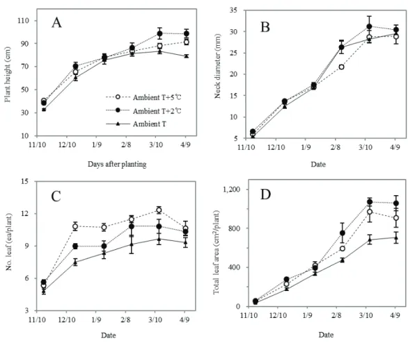 Fig. 4. Changes in plant height (A), neck diameter (B), leaf number (C), total leaf area (D) of the extremely  early-maturing onion (Allium cepa L