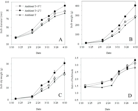 Fig. 6. Changes in bulb diameter, bulb weight, bulb dry weight and bulbing ratio of the extremely early-maturing onion  (Allium cepa  L