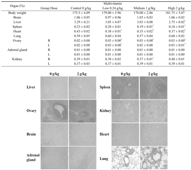 Fig. 4. Histological observation of rats treated orally with multivitamin for 4 weeks.