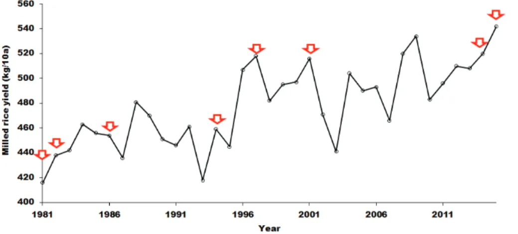 Fig. 6. National rice yield of Korea statistics from 1981 to 2015. Arrows indicate the years that meet the meteorological high yield condition.