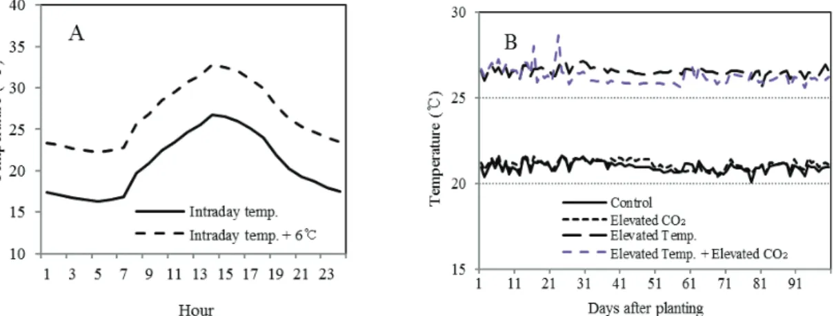Fig. 2. Fluctuation of intraday temperatures designed based on climate change scenarios for cultivation of red pepper (A)