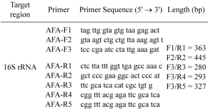 Fig. 3. PCR results from blue green algae-related product by PCR using  Aphanizomenon flos-aquae-specific primer  (APA-F1/APA-R1)