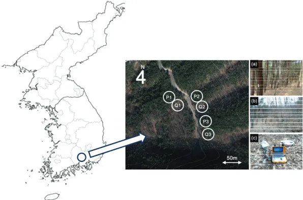 Fig. 1. Location of the study site . P: Pinus densiflora (a); Q: Quercus variabilis (b); LI-8100 A(c).