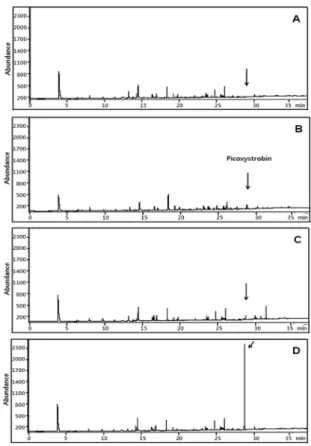 Fig. 4. GC-ECD chromatograms of Picoxystrobin, control apple (A), apple at 0.02 mg/kg (B), 0.05 mg/kg (C) and 0.5 mg/kg (D).