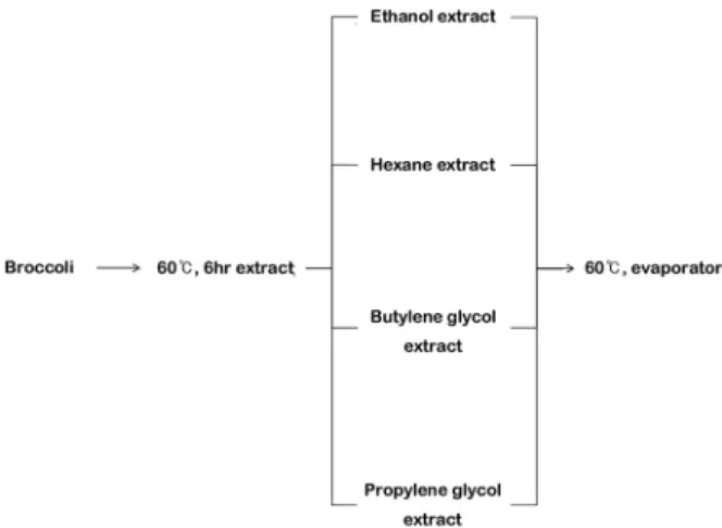 Fig. 2. Anti-microbial activities of broccoli in Propionibacterium acnes. BB: broccoli butylene glycol extract