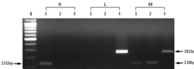 Table 3. PCR results of processed meat products using species-specific primer