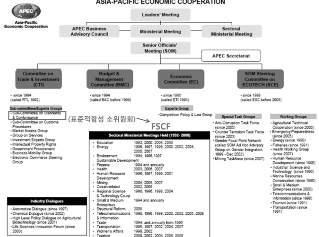 Fig. 3. Organisational structure of FSCF and PTIN in APEC.