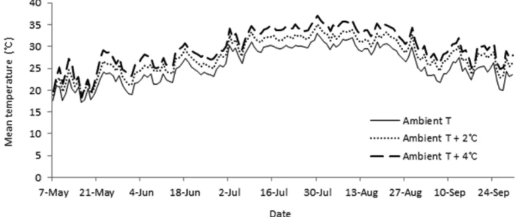 Fig. 1. Changes in daily mean air temperature in the Temperature Gradient Tunnel (TGT) where the red pepper (Capsicum annuum L.) grown
