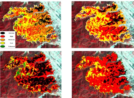 Table 3. Change of burn severity by five classifier in Uljin fire area