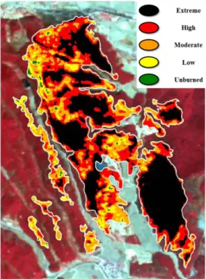 Fig. 6. Burn severity distribution map by NDVI analysis in Yeongduk fire area.