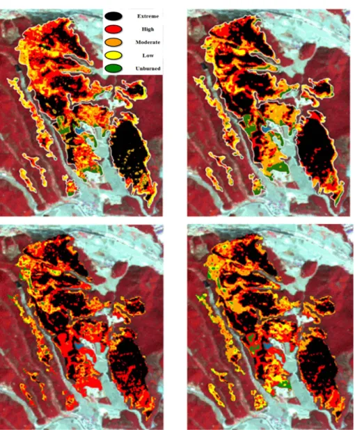 Fig. 7. Burn severity distribution map by supervised and unsupervised classification in Yeongduk fire area (from upper-left: