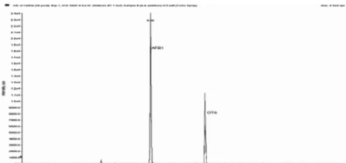 Fig. 1.  LC/MS/MS chromatograms of AFB 1  (9.3 µ gkg −1 ) and OTA (20 µ gkg −1 ).