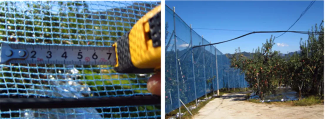 Fig. 2. View of windbreak net installed at an apple orchard of Geochang County.