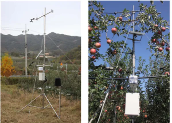 Table 1. Temperature around the outside and inside of windbreak net at an apple orchard (2012