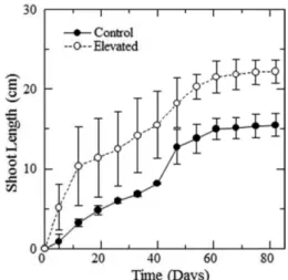 Fig. 2. Temporal progress of shoot length growth of L.