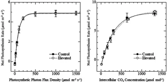 Fig. 3. Light response curves of L. tulipifera under (left) and A-Ci curves (right) of L