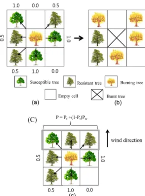 Fig. 2. Graphical representation of the manner in which fire can spread from a burning tree in a central landscape cell (a) to trees in neighboring cells (b) according to our cellular automata model