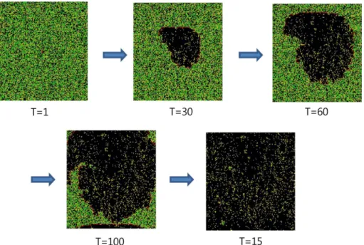 Fig. 3. Snap shots for the forest fire spreading according to time for P t = 0.5 for the resistant tree and P w = 0.6, where C tot = 0.8 and C s = 0.5.