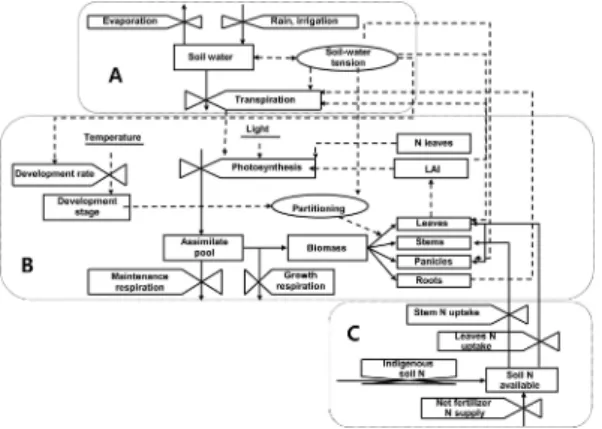 Fig. 1.  A schematic representation of the model ORYZA2000, where boxes are state variables, valves are rate variables, circles are intermediate variables, solid lines are flows of materials, and dotted lines are flows of informations