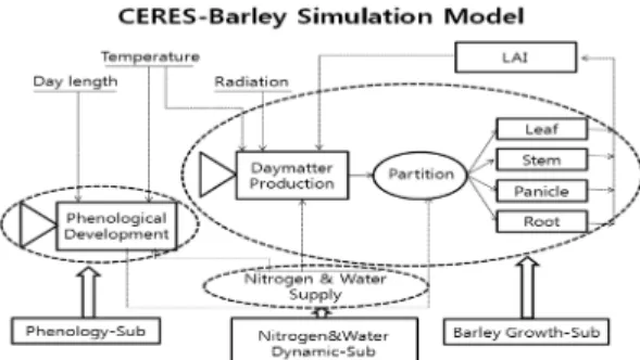 Fig. 1.  A schematic representation of the model CERES- CERES-Barley.
