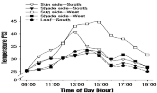 Fig. 7.  Sun side and shade side of fruit surface temperature in the different location in the tree canopy and leaf temperature on warm sunny day (27 Aug