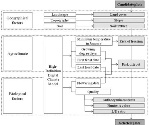 Fig. 1.  A schematic of land search process suitable for quality ‘Fuji’ apple production under the changed climate based on digital climate maps and other geospatial information layers.