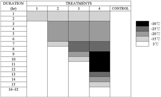 Fig. 1.  Schematic of the freeze-thaw treatment processes used on 1-year-old fruit branches in peach trees.