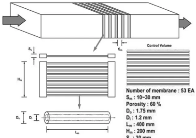 Fig. 2  Membrane system description.