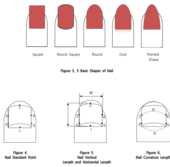 Figure  3.  5  Basic  Shapes  of  Nail