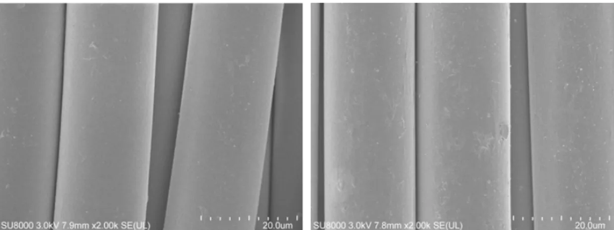 Figure  5.  SEM  Image  of  Nylon  6,  Control Figure  6.  SEM  Image  of  Nylon  6,  Tannic  Acid  Conc
