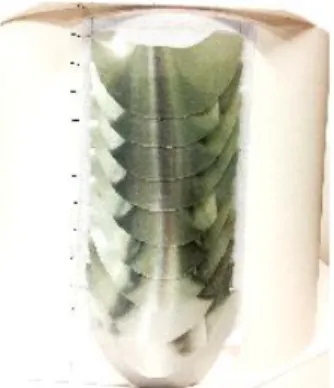 Figure  3.  Side  View  of  the  Three-Dimensional  Real  Representation  Techniques