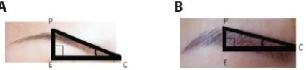 Figure  1.  Measurement  changes  of  eyebrow  make-up(2012)  -Park,    A  Mathematical  Analysis  of  Eyebrow  Make-up  Design,  p