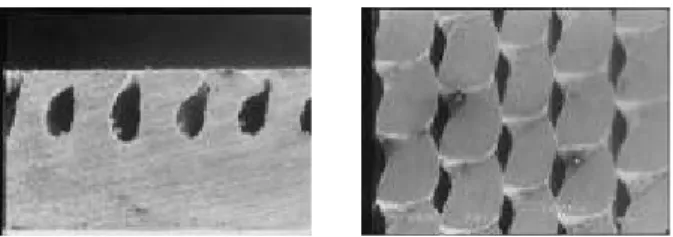 Table 1 Specification of surfaces Surface Plain Thermoexcel-E Thickness(mm) 4 4