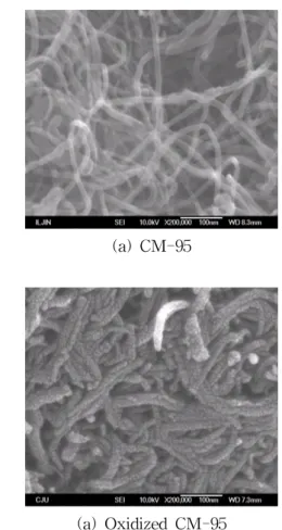 Fig.  1    SEM  microphoto  of  carbon  nanotubes.