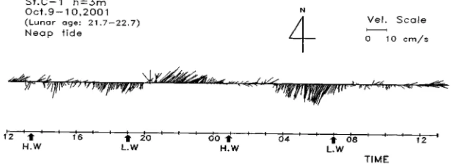 Fig.  6.  Stick  diagram  of  observed  velocity  at  St.  C-1  during  neap  tide.
