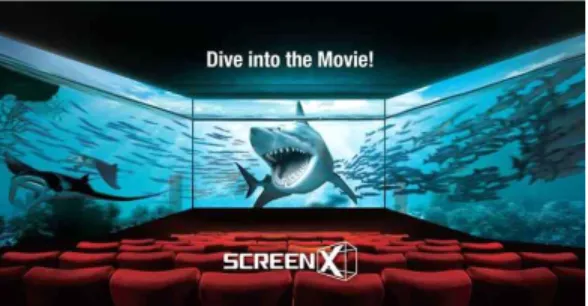 Fig.  2.  Screen  X  filming  screen