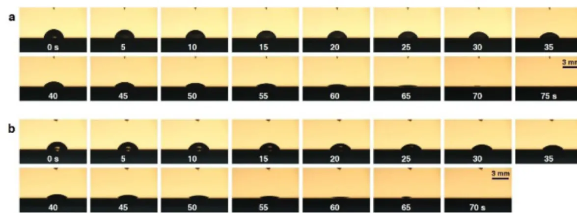 Fig. 5 Normalized contact angle variations on each sur- sur-face during evaporation