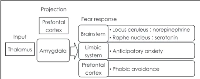 Fig. 2. Abnormally sensitive fear network of brain focused on amyg- amyg-dala in panic disorder.