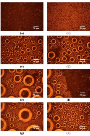 Fig. 4 Droplet growth behavior with respect to time on hydrophobic surface of case 2 (contact angle: 148 o ) (a) 1 min, (b) 7 min, (c) 25 min, (d) 50 min, (e) 100 min, (f) 130 min, (g) 160 min, and (h) 180 min