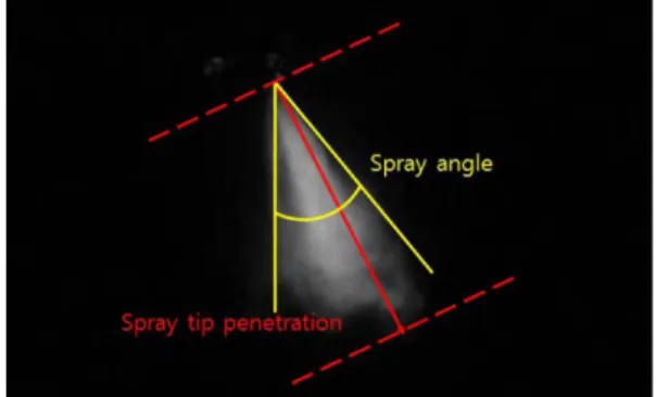 Fig. 3 Definitions of spray tip penetration and spray angle