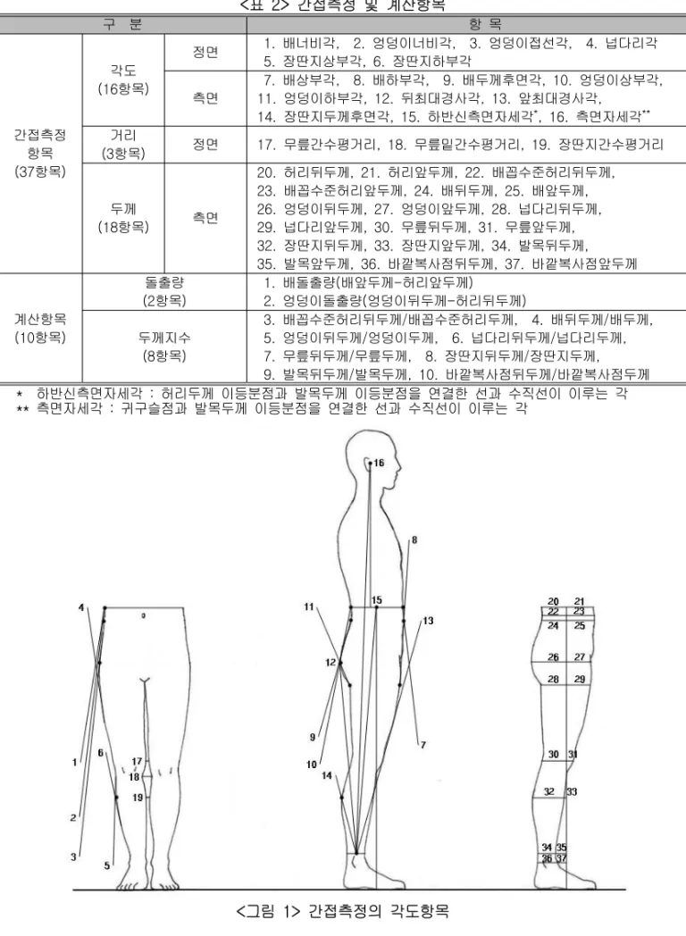 표 간접측정 및 계산항목<2> 구 분 항 목 간접측정 항목 항목(37 ) 각도 항목(16 ) 정면 1. 배너비각 , 2. 엉덩이너비각 , 3. 엉덩이접선각 , 4