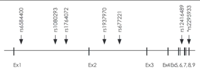 Table 3. Logistic analysis of rs2295933 genotype between schizophrenia patients and normal controls Gene Loci Diagnosis