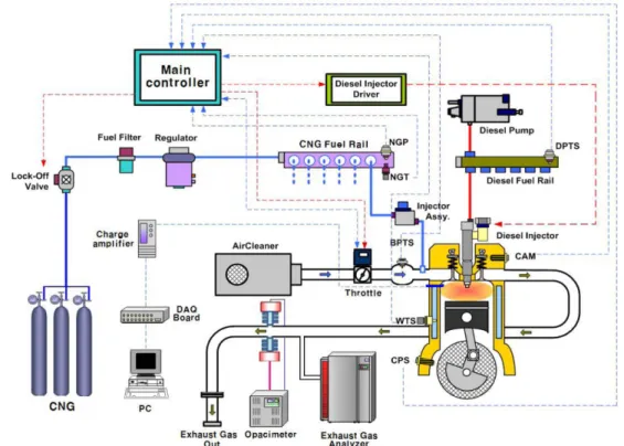 Fig. 1 Schematic diagram of experimental apparatus