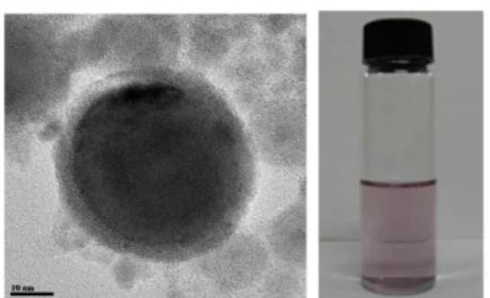 Fig. 1 TEM image of Au nanoparticle and water-based Au nanofluids