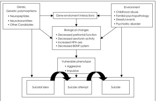 Fig. 1. Suicide and gene-eniviroment interaction.